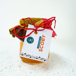 Sweetwaters Eco-Farm Live Kombucha SCOBY