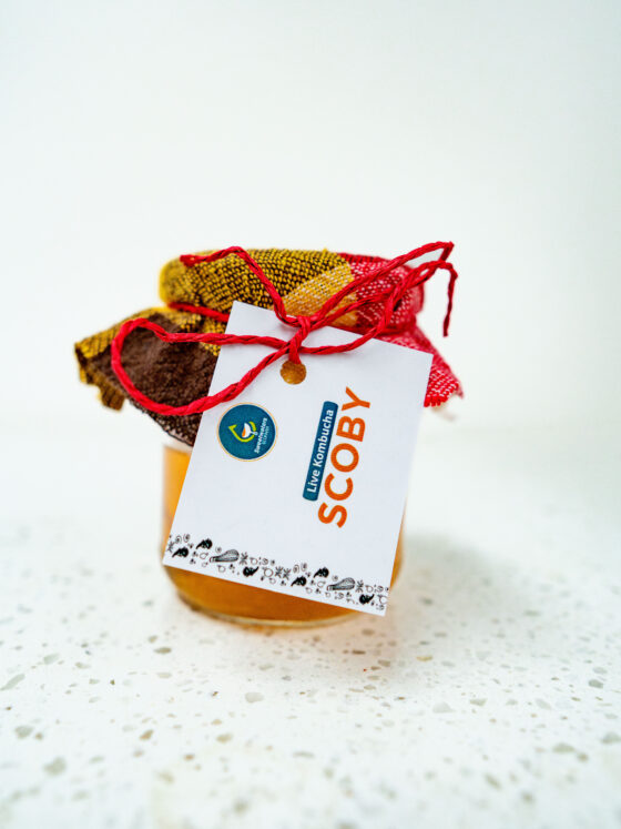 Sweetwaters Eco-Farm Live Kombucha SCOBY